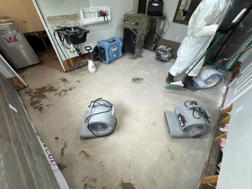 Mold Removal in Thatcher, AZ: Why Local Experience Matters More Than You Think