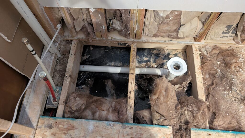 Spring Mold Damage: Tips to Protect Your Home This Season