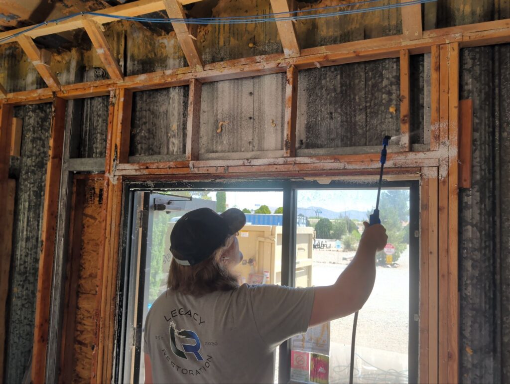 Why Hiring a Qualified Mold Remediation Company Is So Important in Thatcher, AZ